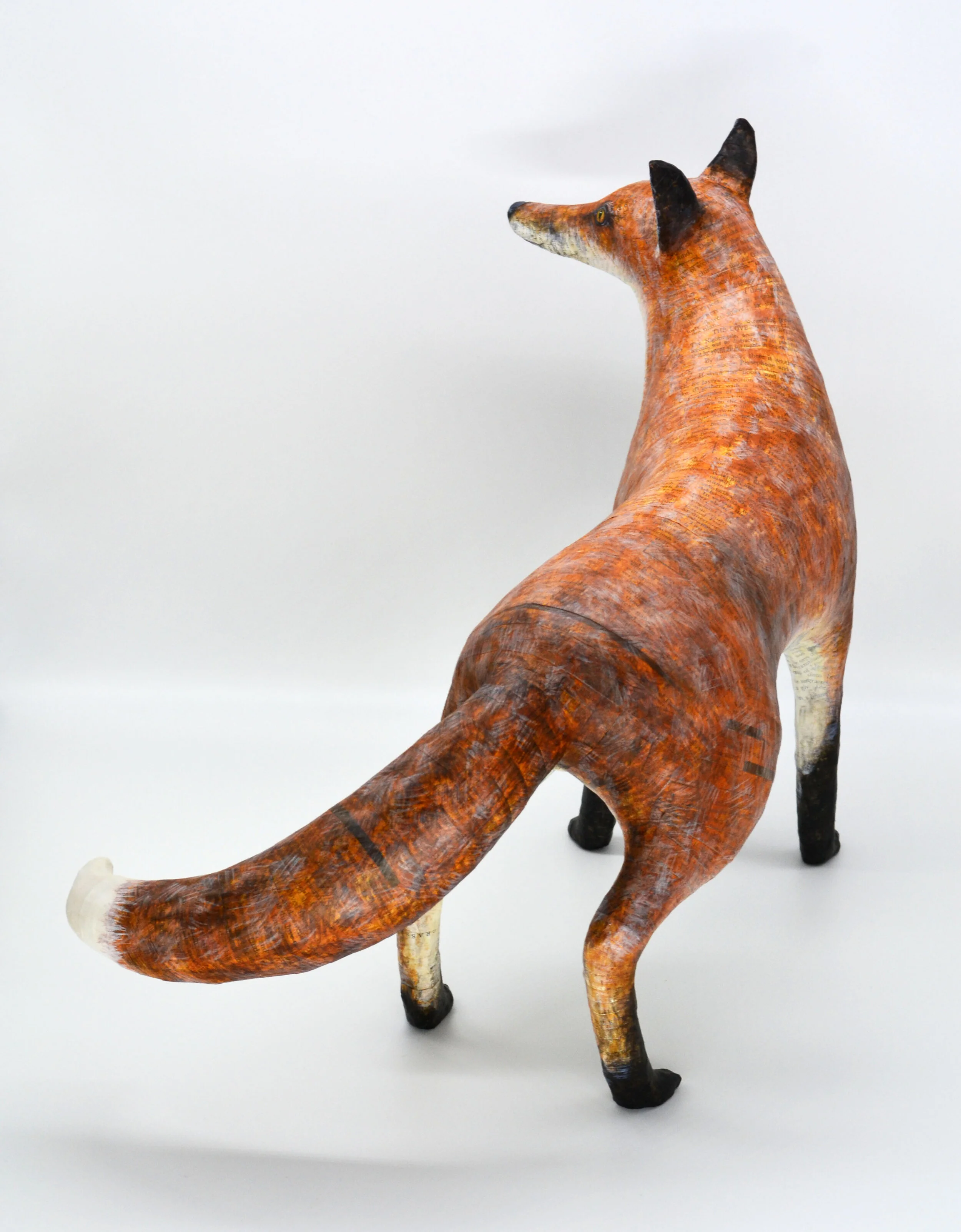 Fox — Suzanne Breakwell